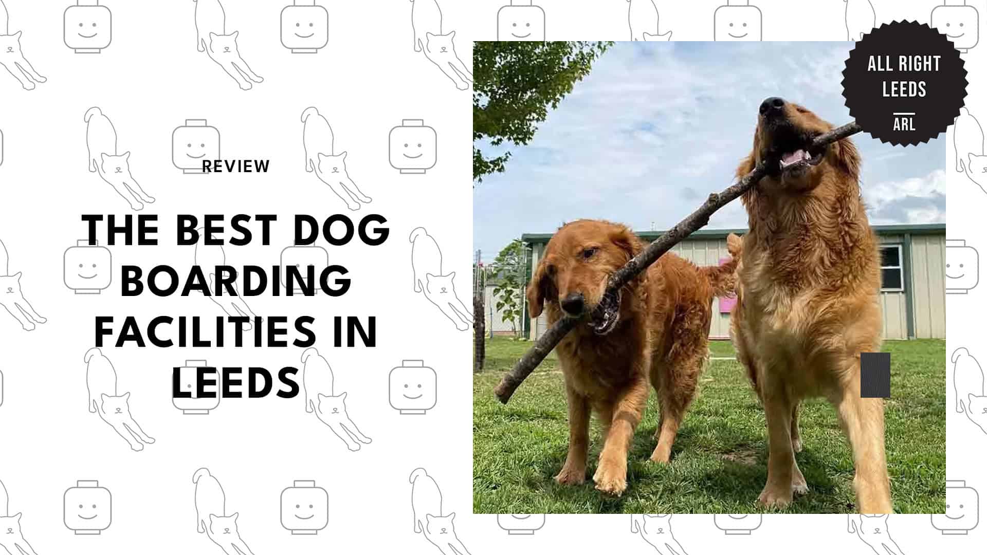 best-dog-boarding-leeds-banner