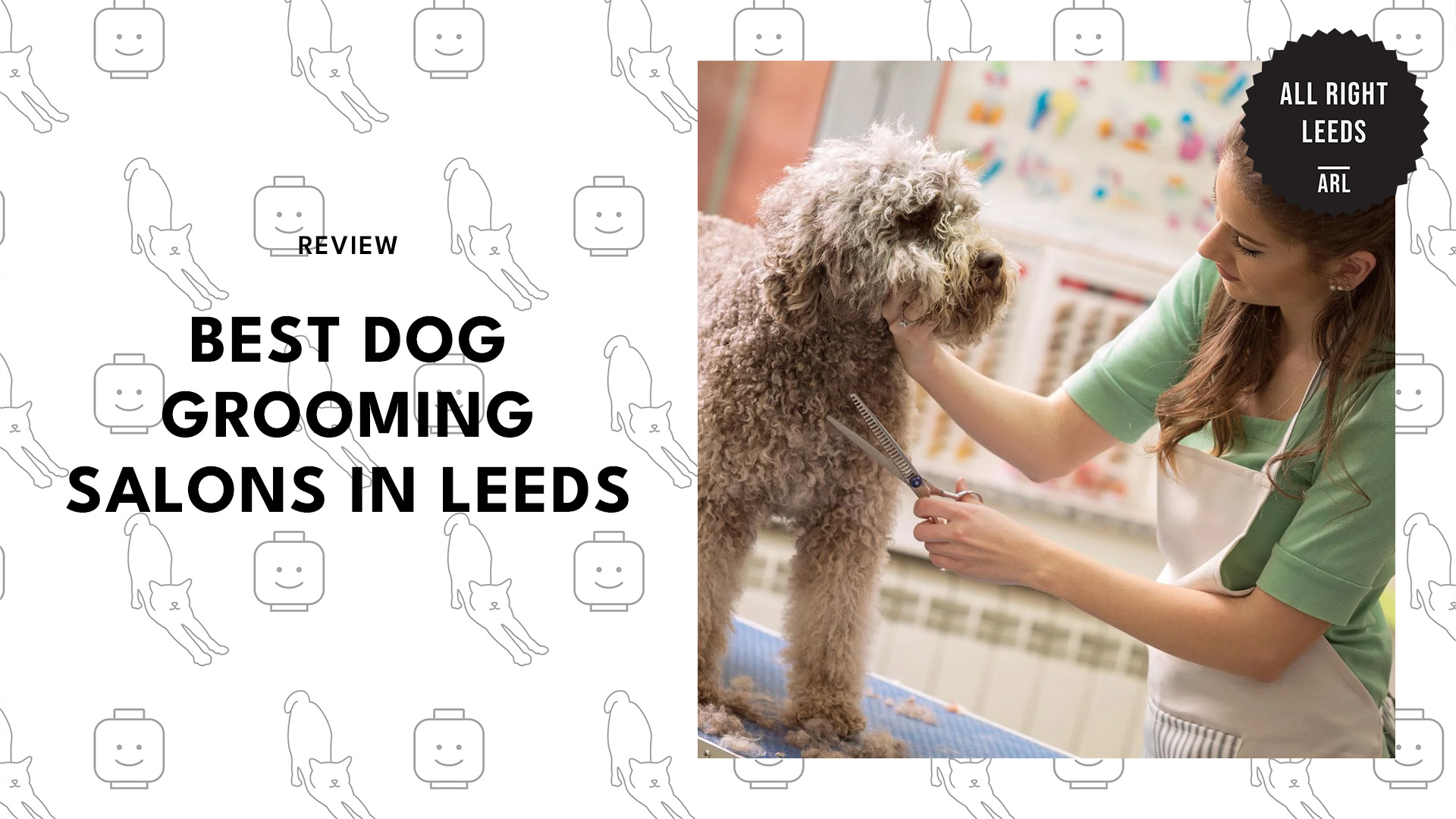best-dog-grooming-leeds-banner