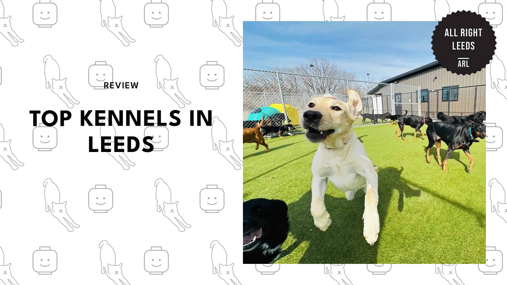 top-kennels-leeds-banner