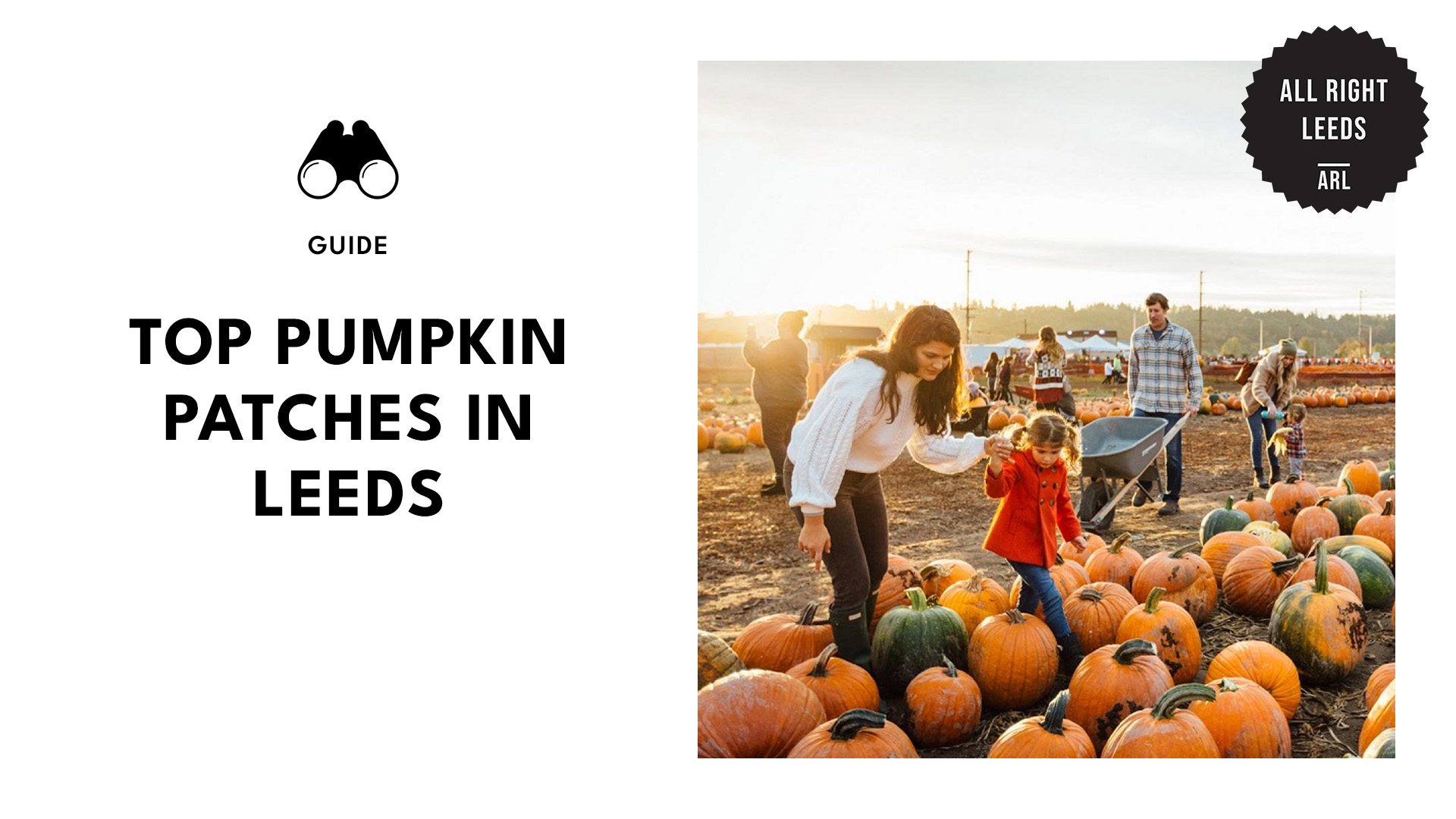 top-pumpkin-patches-leeds-banner