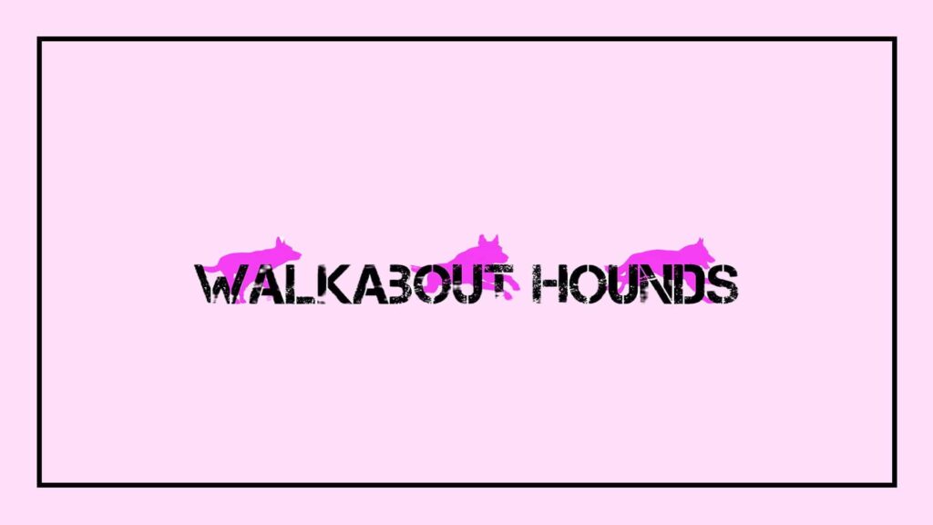 walkabout-hounds-dog-training-centre-