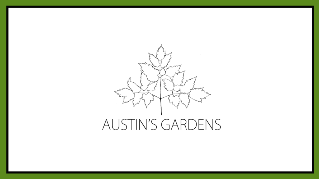 austin-s-gardens