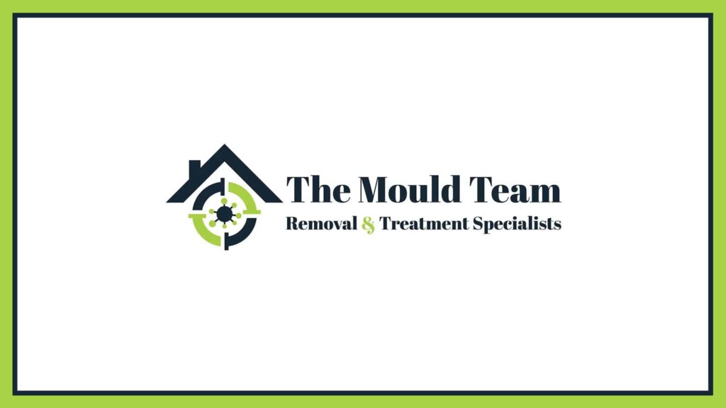 the-mould-team