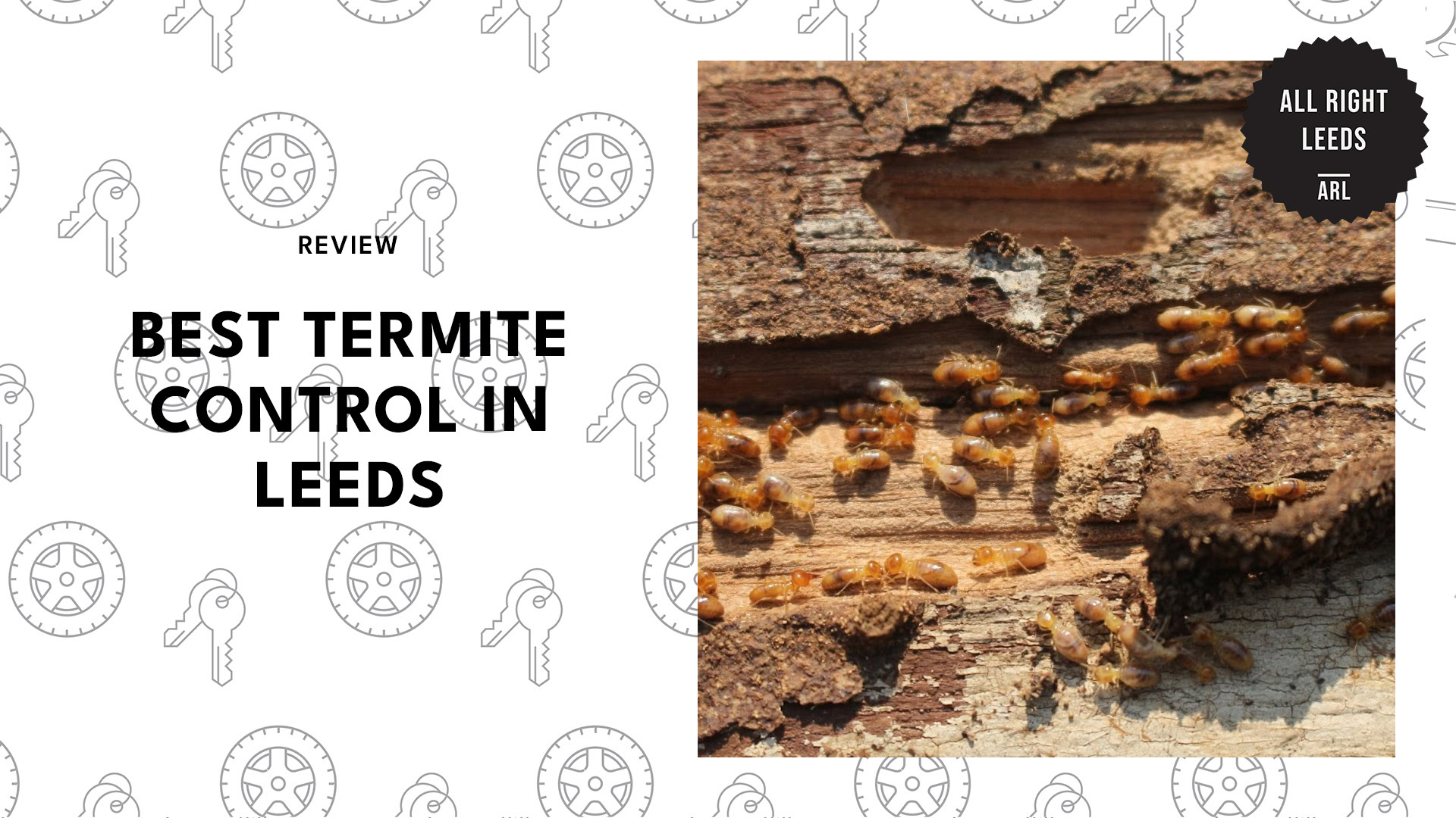 top-termite-control-leeds-banner