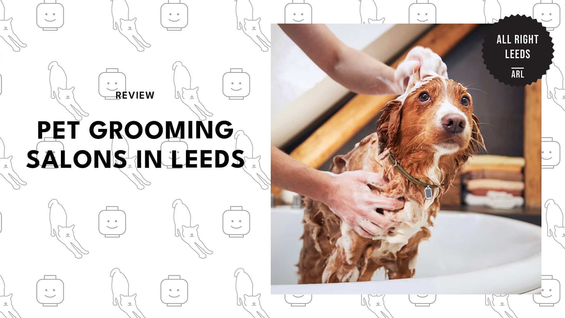 pet-grooming-salons-in-leeds