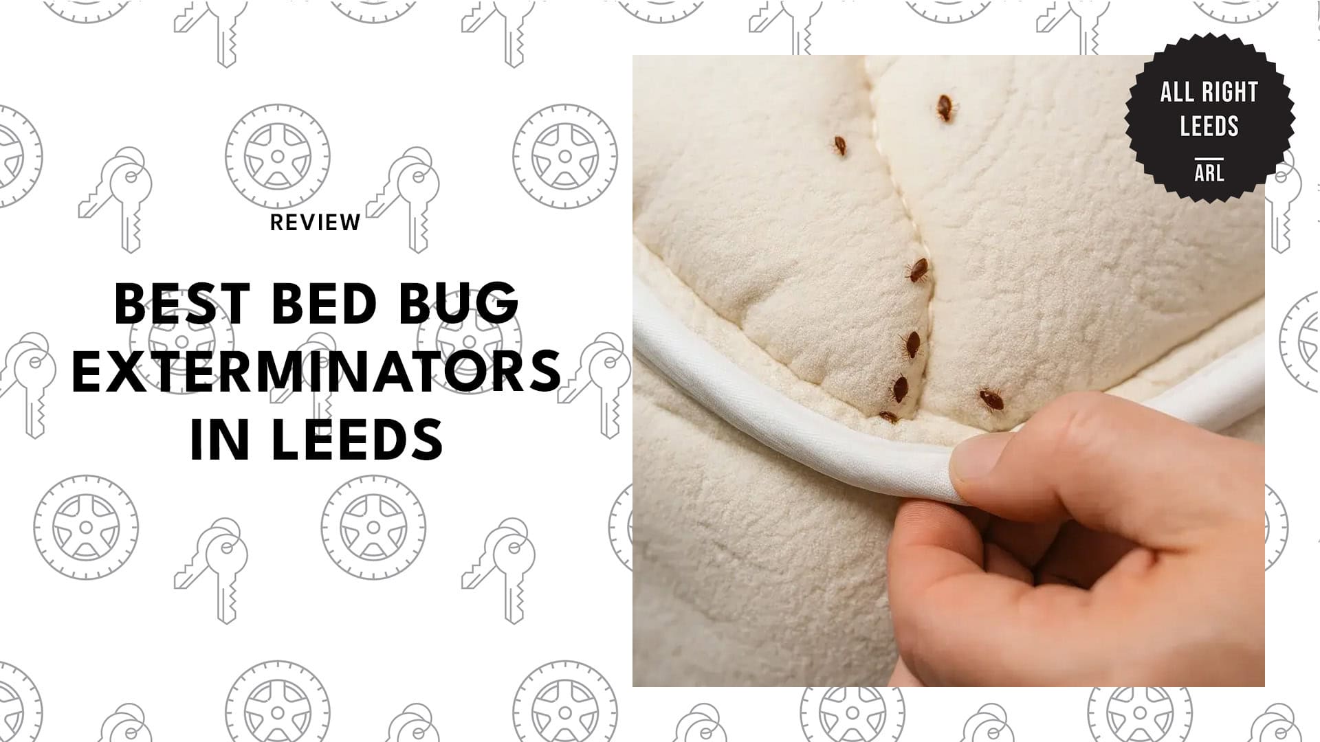 bed-bug-exterminators-in-leeds